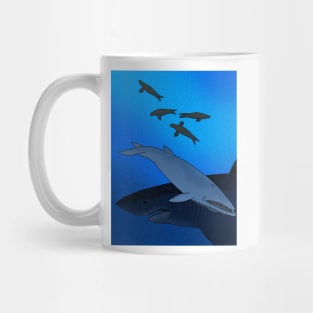 Balaenoptera bertae Mug